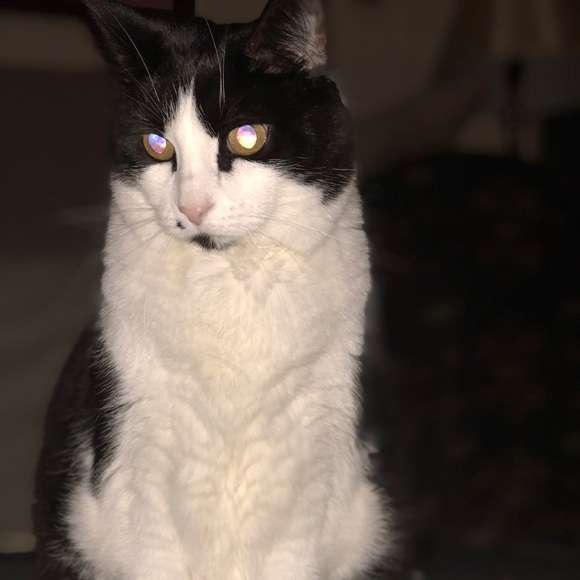 YOUR SELLER/BUYER - Picture 7 of 8